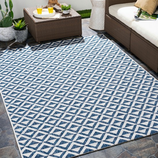 Surya Eagean Rug 2' X 2'11" - Dark Blue