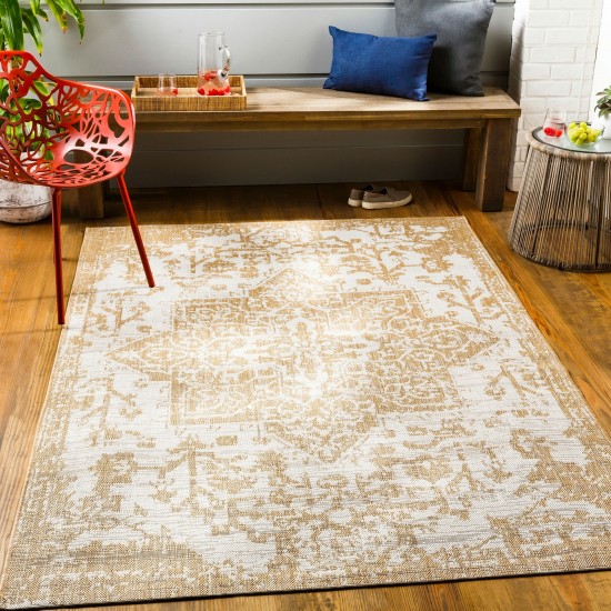 Surya Eagean Tan Rug 10' X 14'