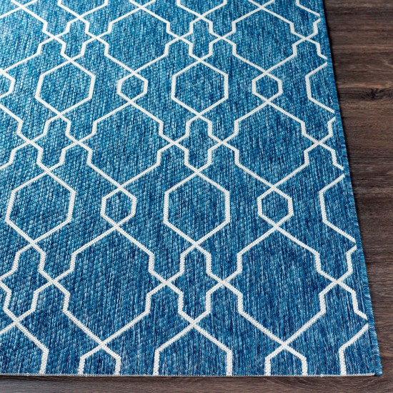 Surya Eagean Dark Blue Rug 12' X 15'