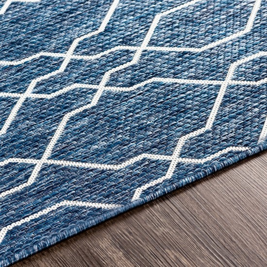 Surya Eagean Dark Blue Rug 12' X 15'