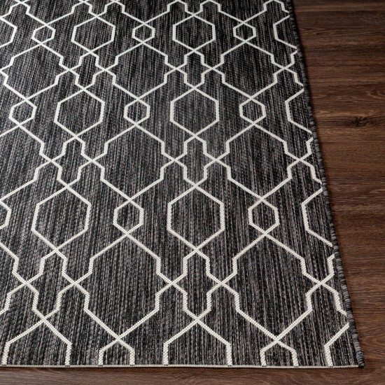 Surya Eagean Charcoal Rug 2'7" X 10'