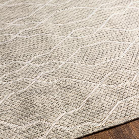 Surya Eagean Rug 2' X 2'11" (Light Sage & Gray)