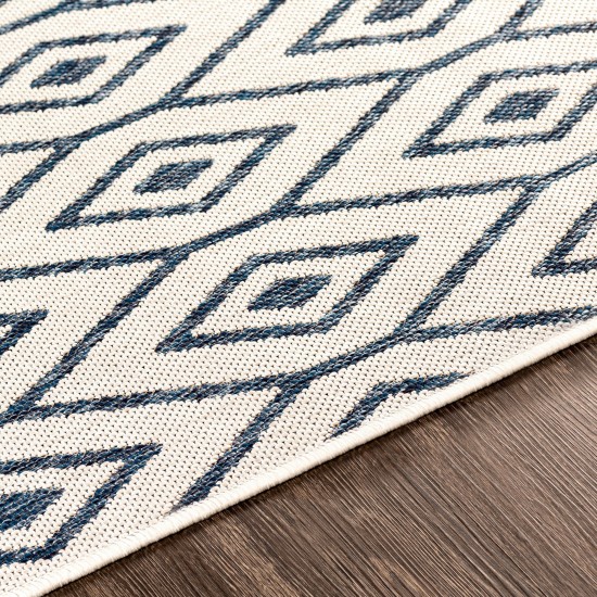 Surya Eagean Cream Rug 2' X 2'11"