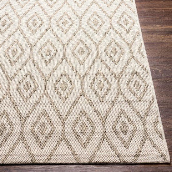 Surya Eagean Light Sage Rug 5'3" X 7'7"