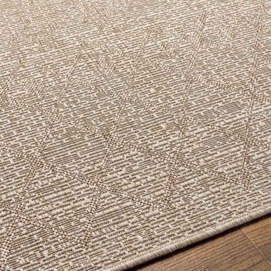 Surya Eagean Eag-2404 Rug 2' X 2'11"