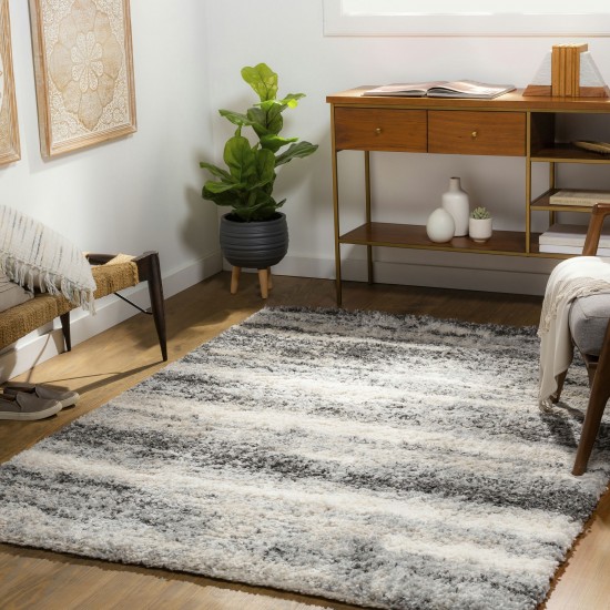 Surya Eskimo Shag Charcoal Rug 6'7" X 9'