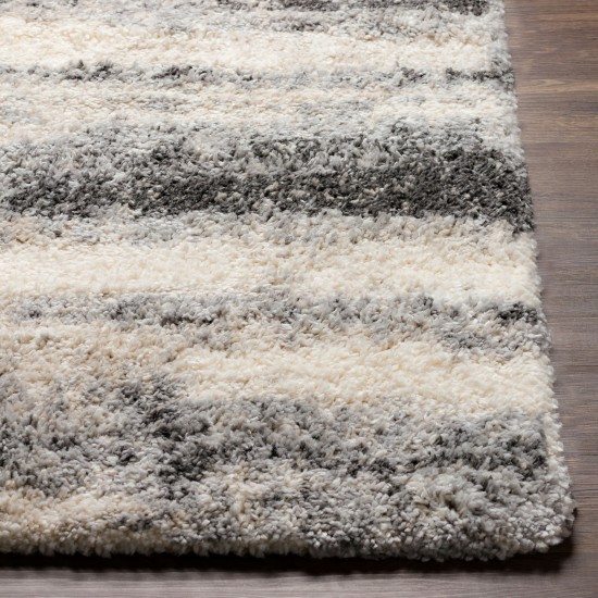 Surya Eskimo Shag Charcoal Rug 6'7" X 9'