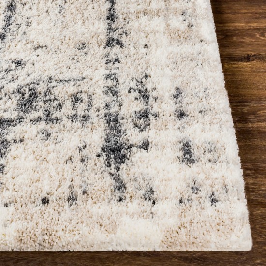 Surya Eskimo Shag Light Beige Rug 6'7" X 9'