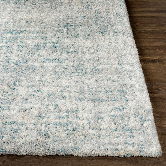 Surya Eskimo Shag Blue & Light Gray Rug 5'3" X 7'