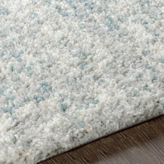 Surya Eskimo Shag Blue & Light Gray Rug 5'3" X 7'