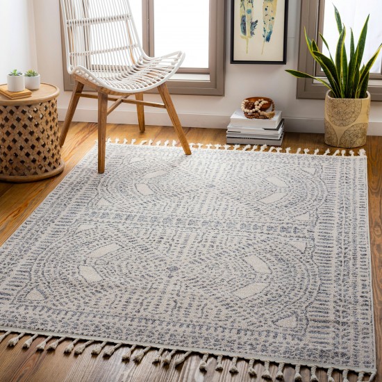 Surya Euphoria Rug 2' X 3' (Charcoal)