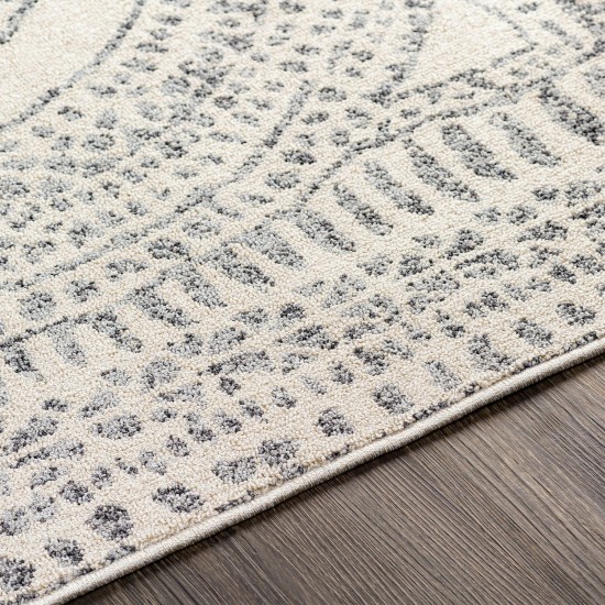 Surya Euphoria Rug 2' X 3' (Charcoal)