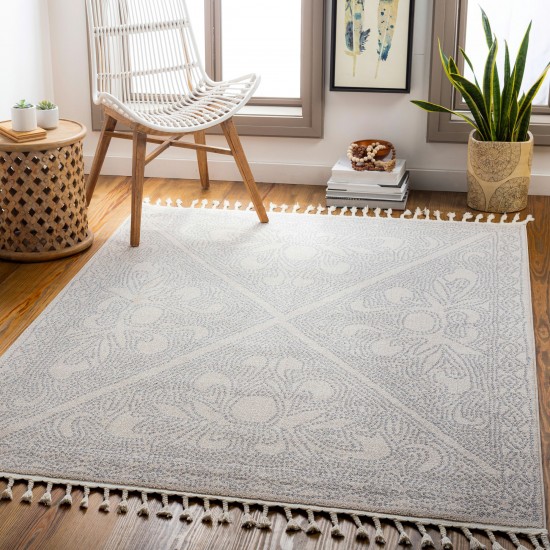 Surya Euphoria Medium Gray & Light Gray Rug 2' X 3'