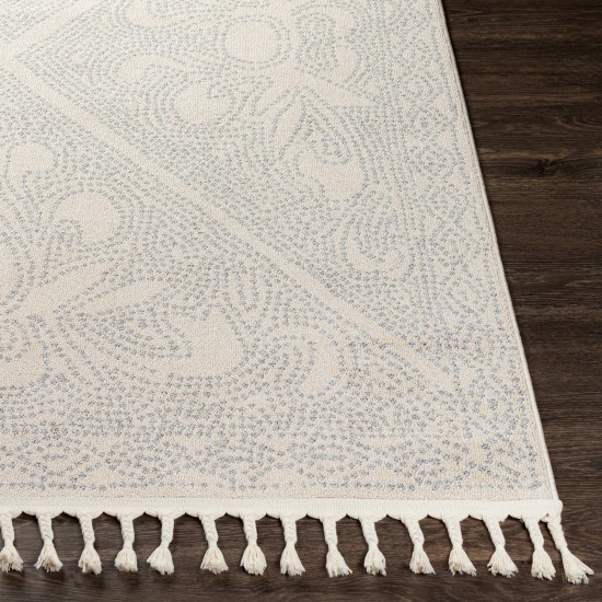 Surya Euphoria Medium Gray & Light Gray Rug 2' X 3'