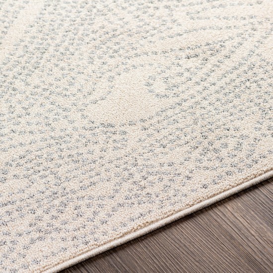 Surya Euphoria Medium Gray & Light Gray Rug 7'10" X 10'