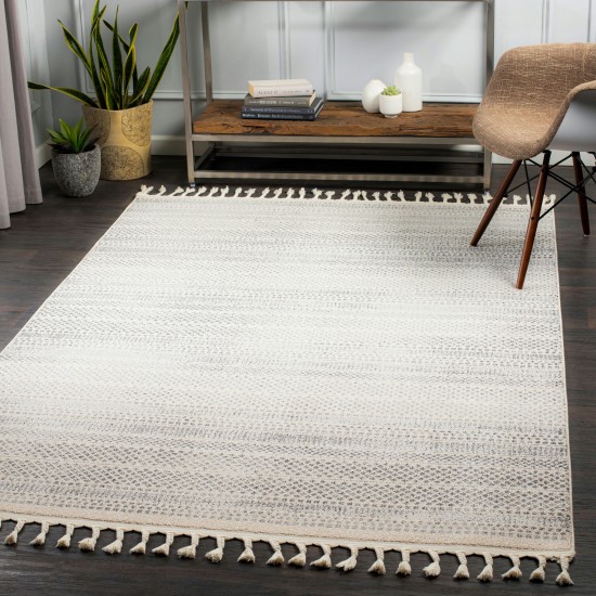 Surya Euphoria Charcoal & Medium Gray Rug 5'3" X 7'3"