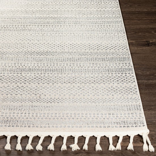Surya Euphoria Charcoal & Medium Gray Rug 5'3" X 7'3"