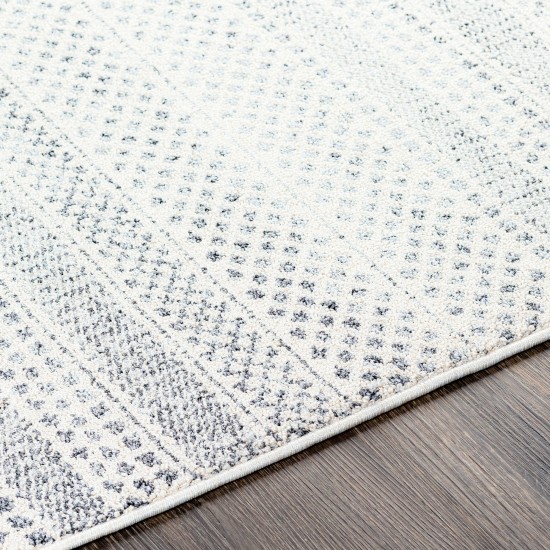 Surya Euphoria Charcoal & Medium Gray Rug 5'3" X 7'3"