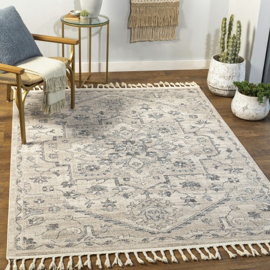 Surya Euphoria Charcoal & Tan Rug 5'3" X 7'3"