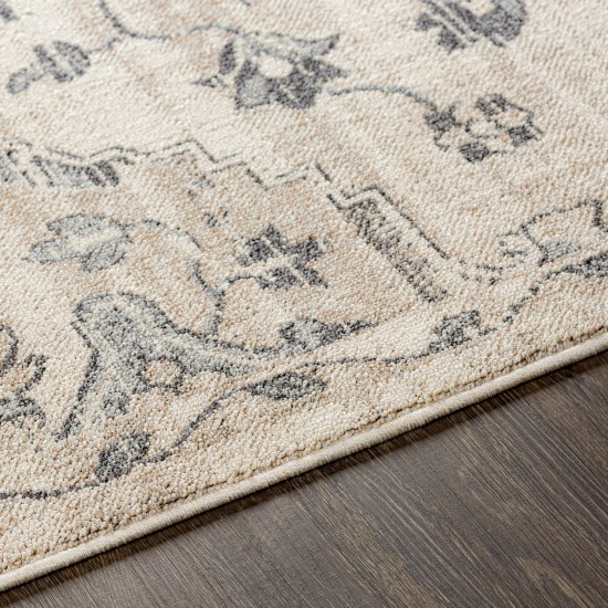 Surya Euphoria Charcoal & Tan Rug 6'7" X 9'