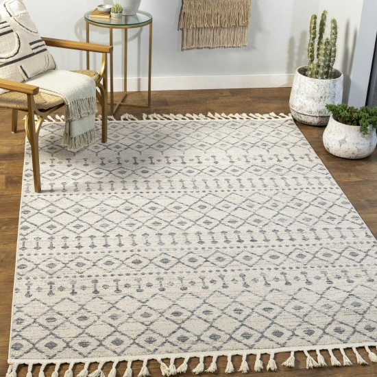 Surya Euphoria Rug 2' X 3' - Charcoal