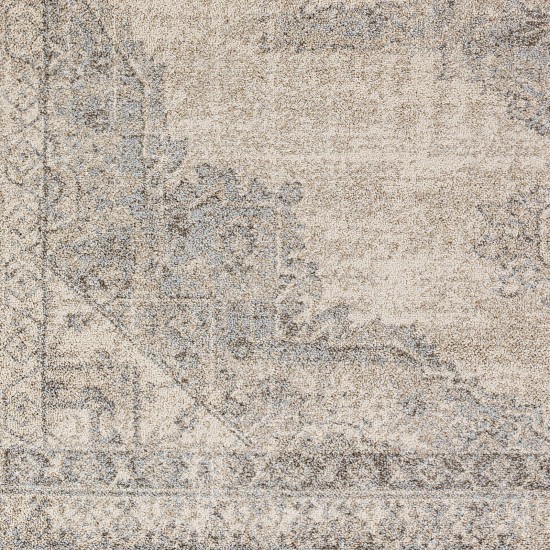 Surya Euphoria Erp-2317 Rug 6'7" X 9'