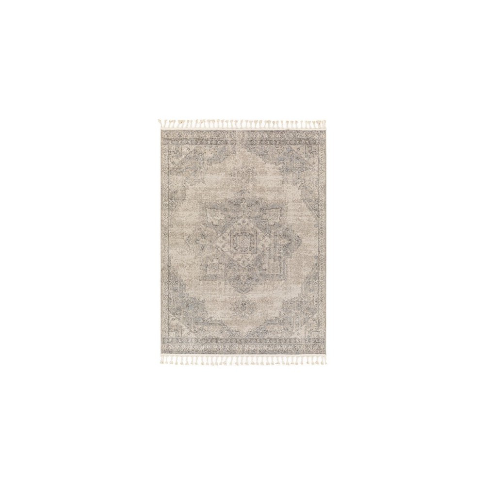 Surya Euphoria Erp-2317 Rug 7'10" X 10' Surya Euphoria Erp-2317 Rug 7'10" X 10'