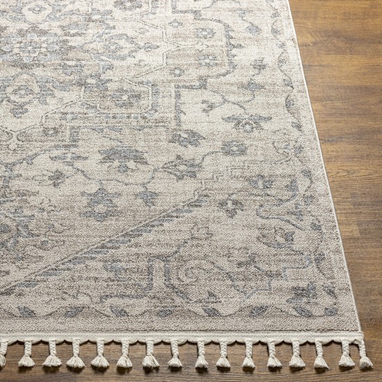 Surya Euphoria Erp-2320 Rug 2' X 3'