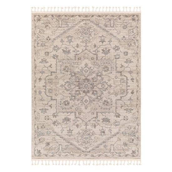 Surya Euphoria Erp-2320 Rug 6'7" X 9'