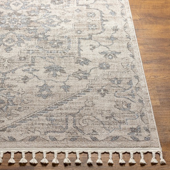 Surya Euphoria Erp-2320 Rug 6'7" X 9'