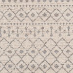 Surya Euphoria Erp-2321 Rug 2' X 3'