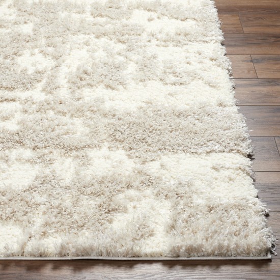 Surya Everton Plus Evp-2300 Rug 2' X 3'