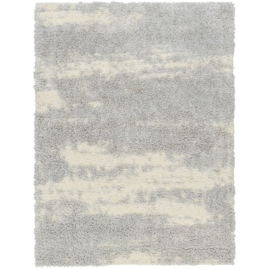 Surya Everton Plus Evp-2301 Rug 2' X 3'