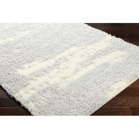 Surya Everton Plus Evp-2301 Rug 2' X 3'