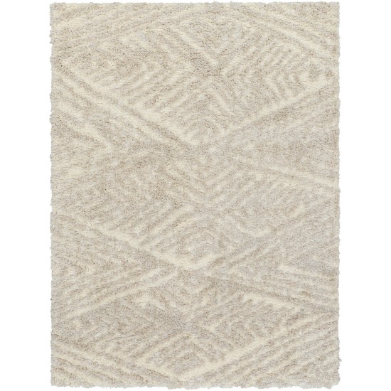 Surya Everton Plus Evp-2302 Rug 2' X 3'