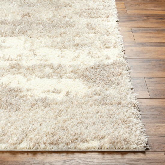 Surya Everton Plus Evp-2304 Rug 2' X 3'