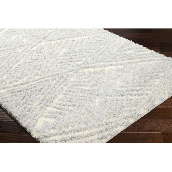 Surya Everton Plus Evp-2305 Rug 5'3" X 7'