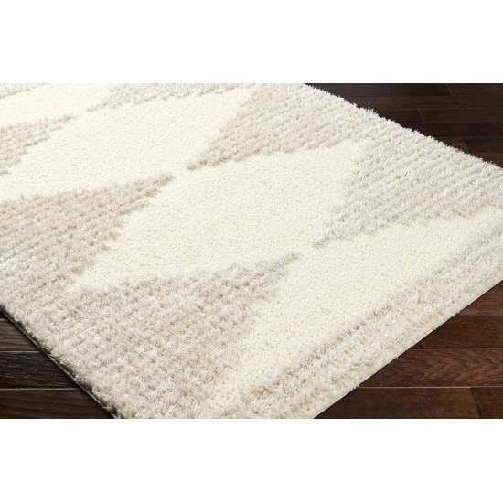 Surya Everton Plus Evp-2308 Rug 2' X 3'