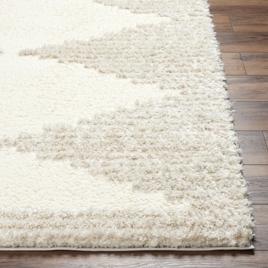 Surya Everton Plus Evp-2308 Rug 2' X 3'