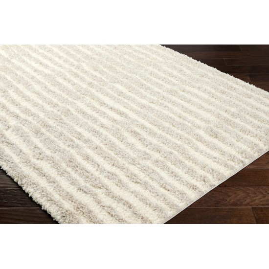 Surya Everton Plus Evp-2309 Rug 2' X 3'