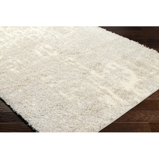 Surya Everton Plus Evp-2311 Rug 2' X 3'