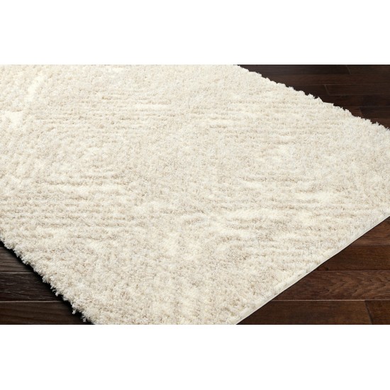 Surya Everton Plus Evp-2313 Rug 2' X 3'