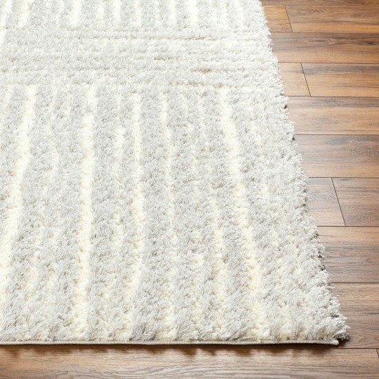 Surya Everton Plus Evp-2314 Rug 2' X 3'