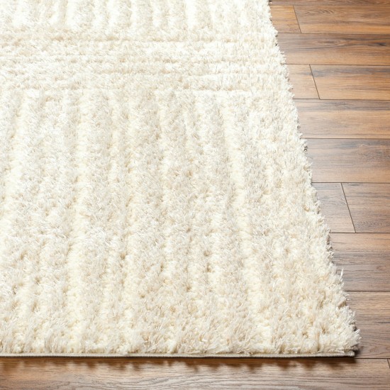 Surya Everton Plus Evp-2315 Rug 2' X 3'