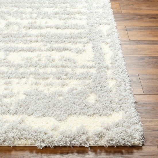 Surya Everton Plus Evp-2316 Rug 2' X 3'