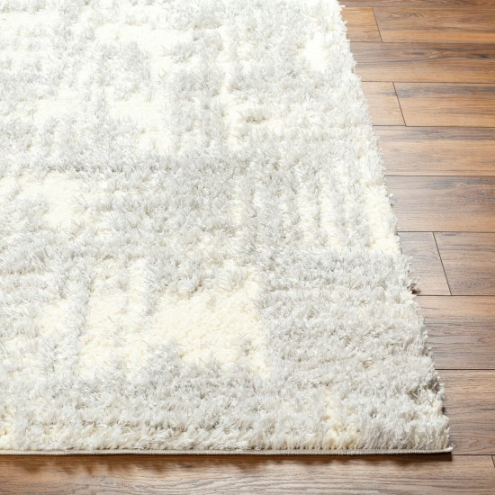 Surya Everton Plus Evp-2318 Rug 2' X 3'