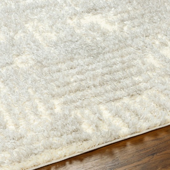 Surya Everton Plus Evp-2318 Rug 5'3" X 7'