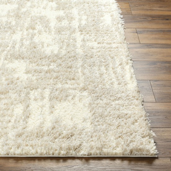 Surya Everton Plus Evp-2319 Rug 5'3" X 7'