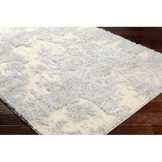 Surya Everton Plus Evp-2320 Rug 2' X 3'