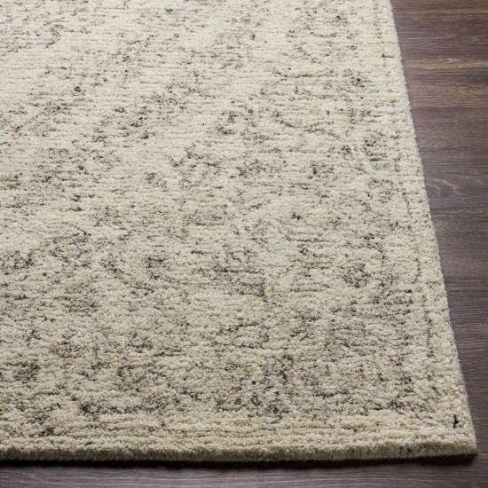 Surya Evolution Rug 6' X 9' (Gray)